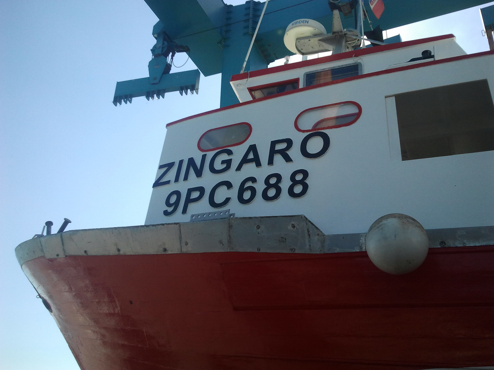 Zingaro